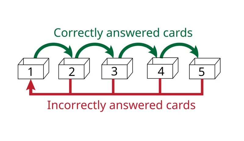 Diagram of the Leitner system: five flashcard boxes, where correct cards move up a box and wrong cards go back to box one